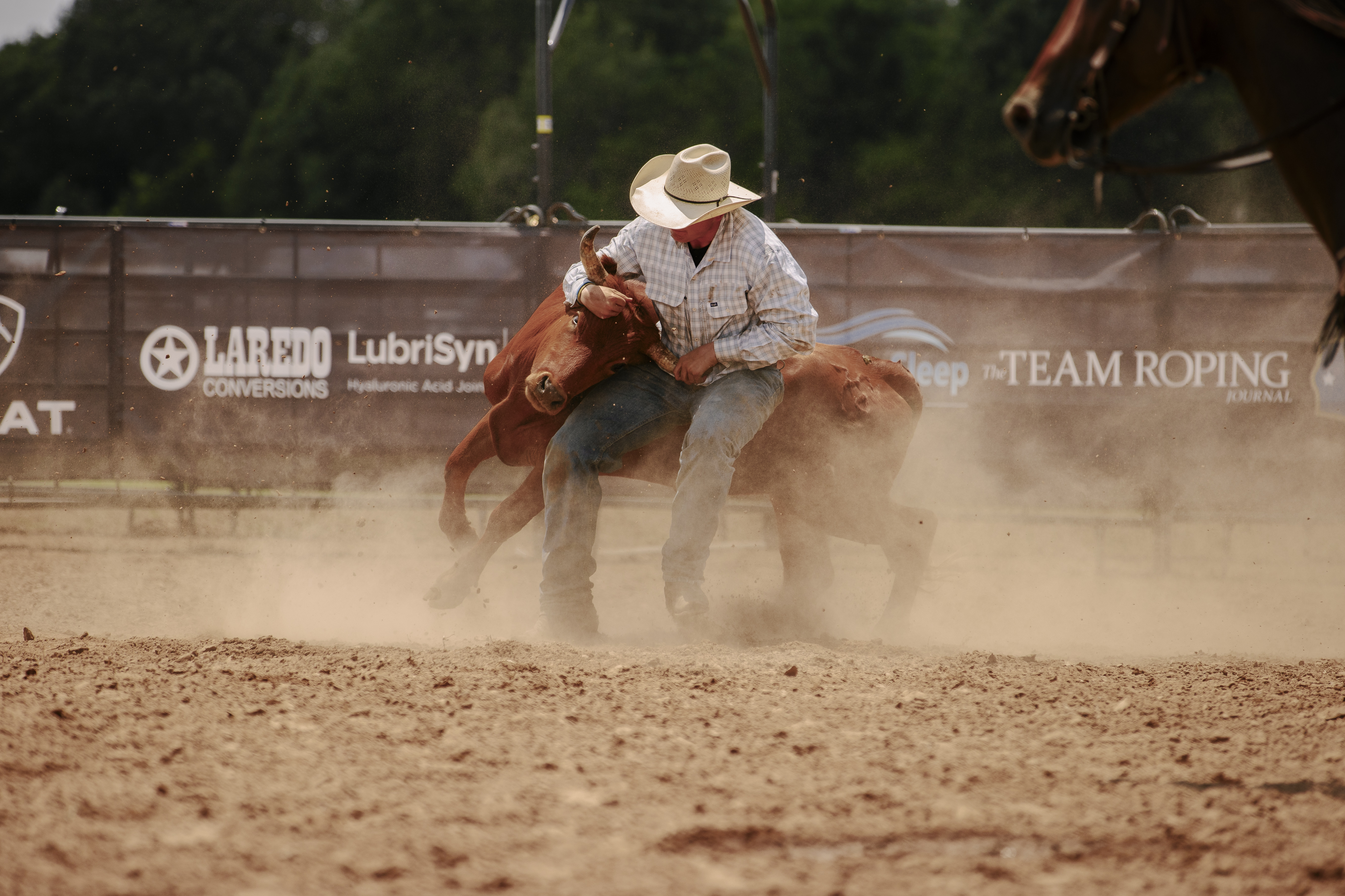 Steer Wrestling