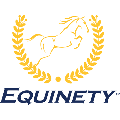 https://usa.teamequinety.com/