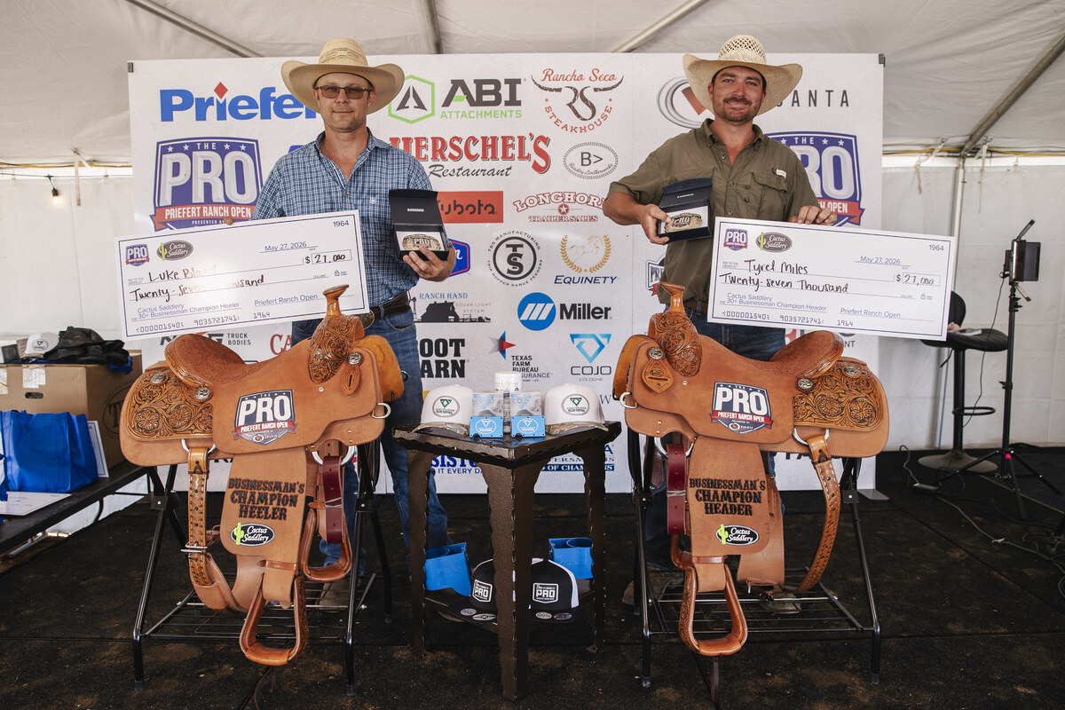 Cactus Saddlery 30+ Businessman Champion