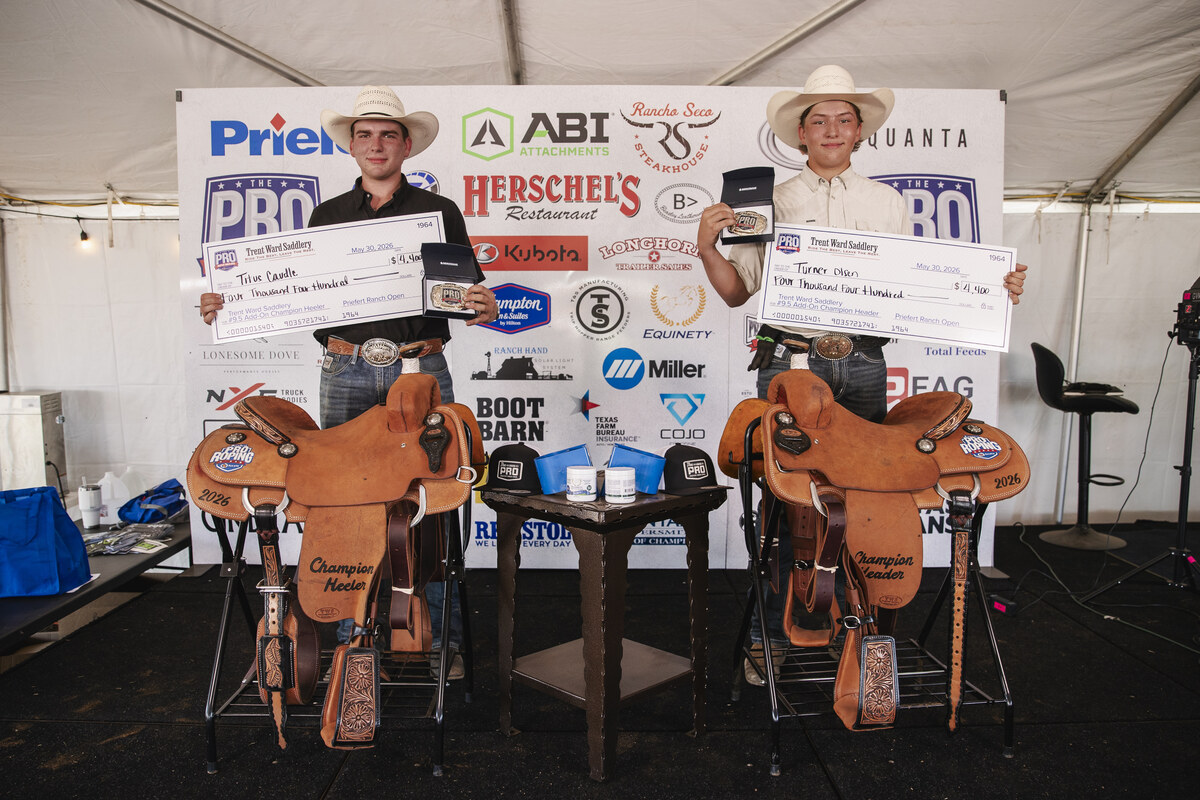 Trent Ward Saddlery 9.5 Trent Ward Saddlery Champion